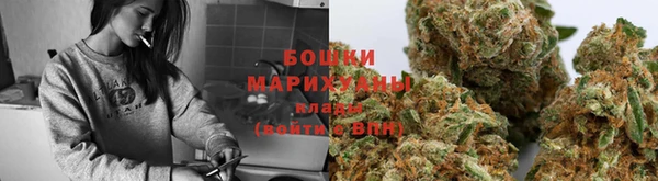 мяу мяу мука Коряжма